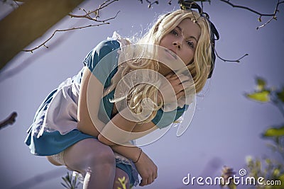 Alice in Wonderland Stock Photo
