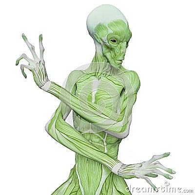 Alien muscle maps on white background Cartoon Illustration