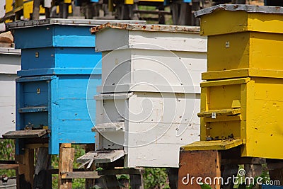 Aligned bee hive Stock Photo