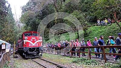 Tourists at The Alishan Forest Railway Editorial Stock Photo