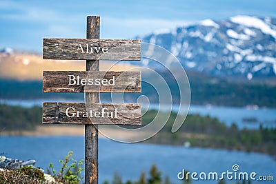 alive blessed grateful text on wooden signpost outdoors in landscape scenery during blue hour. Stock Photo