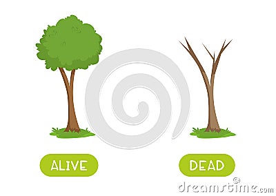 Alive and dead antonyms word card vector template. Flashcard for english language learning. Vector Illustration