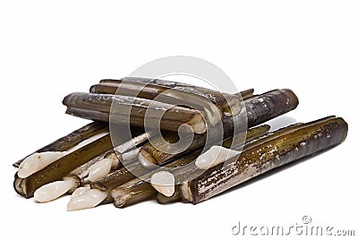 Alive razor clams. Stock Photo