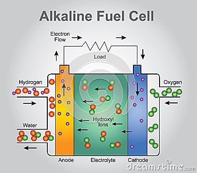 The alkaline fuel cell. Health care education infographic. Vector design. Vector Illustration