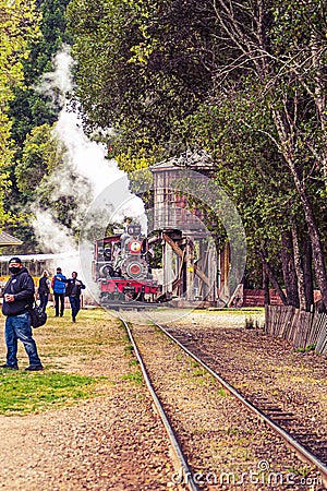 All aboard Traveling Train in Santa Cruz Redwoods Editorial Stock Photo