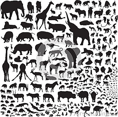 All the animals of Africa Vector Illustration