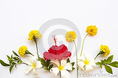All colorful flowers hibiscus, cosmos, marigolds, frangipani arrangement flat lay postcard style Stock Photo