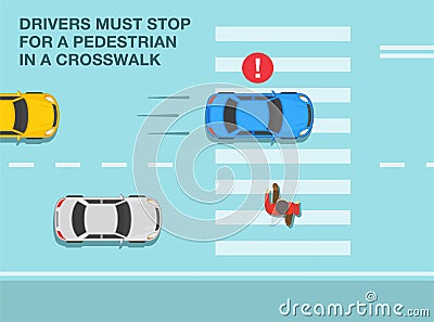 All drivers must stop for a pedestrian in a crosswalk. Failing to stop for pedestrians. Top view. Vector Illustration