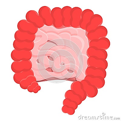 All human intestine icon, cartoon style Vector Illustration