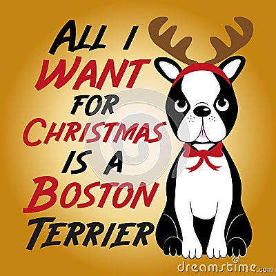All i want for Christmas is a Boston Terrier- cute Christmas text, and Boston Terrier with a reindeer antler on his head. Vector Illustration