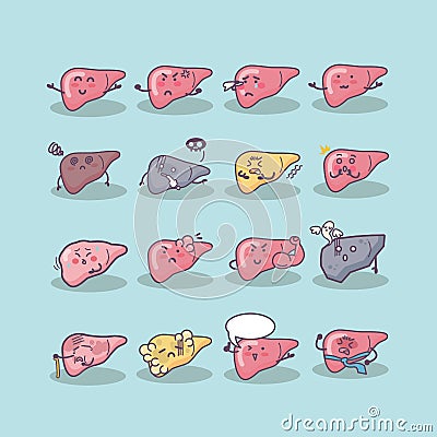 All kinds of liver Vector Illustration