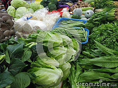 All kinds of vegetables and green vegetables bought in the market are rich in chlorophyll and nutritious and healthy. Stock Photo