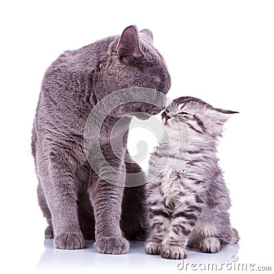 All the love in the world! Stock Photo