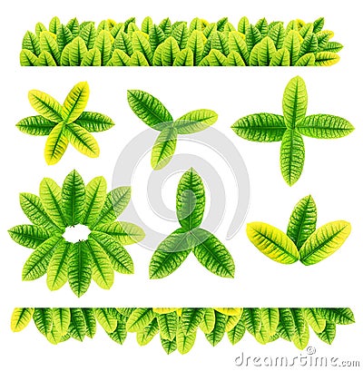 All sorts of green leaves Stock Photo