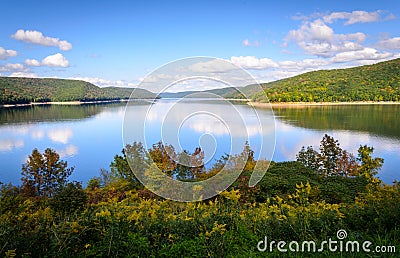 Allegheny National Forest Stock Photo