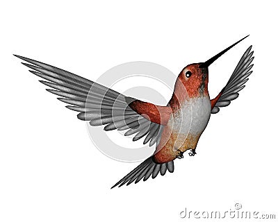 Allen hummingbird - 3D render Stock Photo