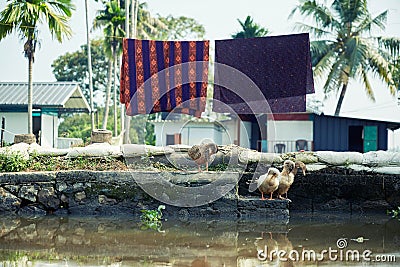 Alleppey Backwaters Kerala. Boat trip Stock Photo