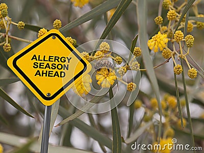 allergy season ahead traffic sign on blue sky Stock Photo