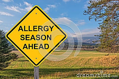 Allergy Season Ahead Warning Sign Stock Photo