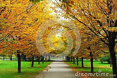 An alley autumn Stock Photo