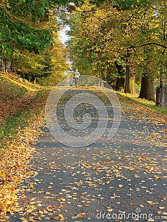 Alley on autumn Stock Photo