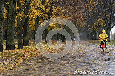 Alley of autumn park with fallen leaves and cyclist in the distance. Boy in yellow raincoat rides a bicycle in the rain Stock Photo