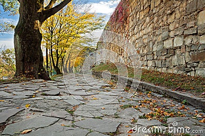 Alley of autumn trees near the wall of the ancient castle. Terebovlya, castle, Ternopil region, Ukraine Stock Photo