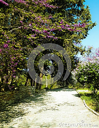 Alley in Balchik Palace gardens, Bulgaria Stock Photo