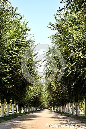 Alley in Belo blato village Stock Photo