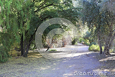 Alley in Boyce Thompson Arboretum Stock Photo