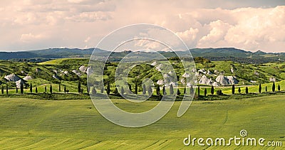 Alley with cypress trees near Siena, Crete Senesi, Tuscany, Italy Stock Photo