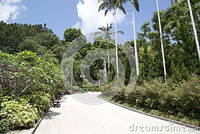 Alley design in Kowloon park Hongkong, China Editorial Stock Photo