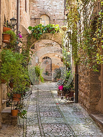 Alley with flowers, Spello Stock Photo
