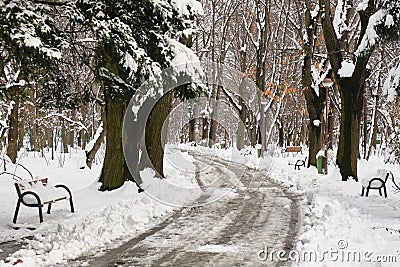 Alley in King Michael I Herastrau Park in Winter, Bucharest, Romania, with side benches and snow covered trees Stock Photo