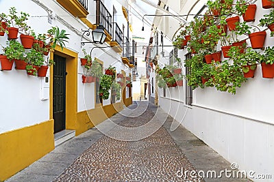 Alley with many flower pots in Cordoba Stock Photo