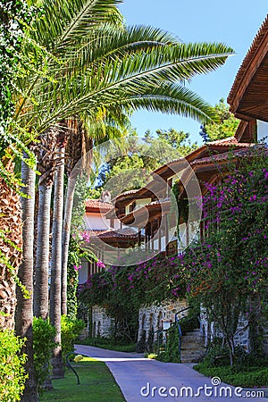 Alley with palm trees and bungalows. Flowers of palm trees and greenery on the street with houses Stock Photo