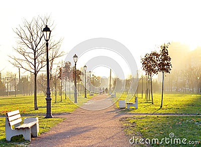 Alley in park at autumn. Stock Photo