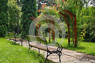 Alley with roses in the park. Tranquility and relaxation. Summer landscape Stock Photo