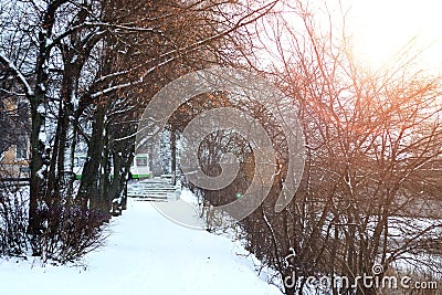 Alley pathway park winter Stock Photo