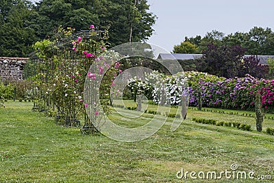 Alley of roses on a trellis in Botanical Park of Upper Brittany Stock Photo