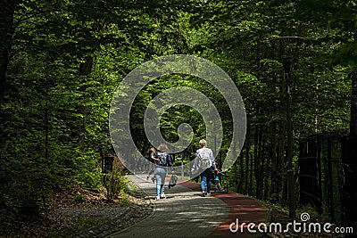 Alley on the shore of Bear Lake Lacul Ursu in Sovata resort, Transylvania, Romania. Editorial Stock Photo