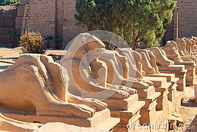 Alley of sphinxes at Karnak Temple Complex in Luxor, Egypt Stock Photo