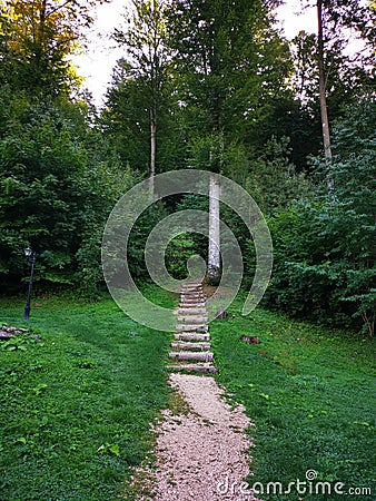 Alley with stairs made of sawn logs Stock Photo