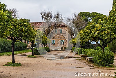 Alley with tangerines ang historic building Editorial Stock Photo