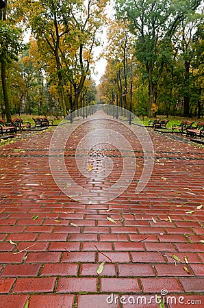 Alleyway with paved road to autumn park Stock Photo