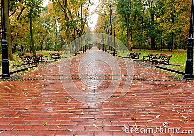 Alleyway with paved road to autumn park Stock Photo