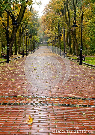Alleyway with paved road to autumn park Stock Photo