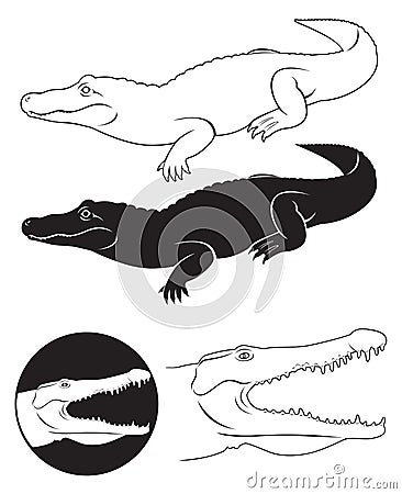 Alligator Vector Illustration