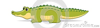 Alligator animal standing on a white background Vector Illustration