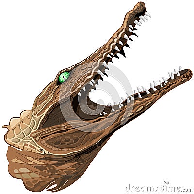 Alligator Crocodile with open Jaws Vector illustration isolated on white Vector Illustration